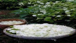 Forest Eco Lodge, Mount Abu - Outside Sitting