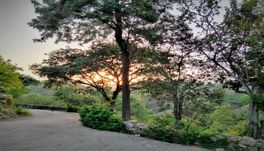 Forest Eco Lodge, Mount Abu - Outside Sitting